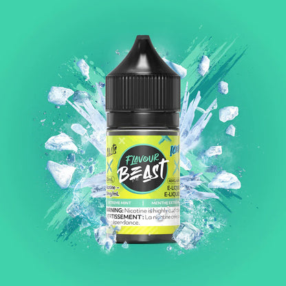 Flavor Beast E-LIQUIT NIC SALT